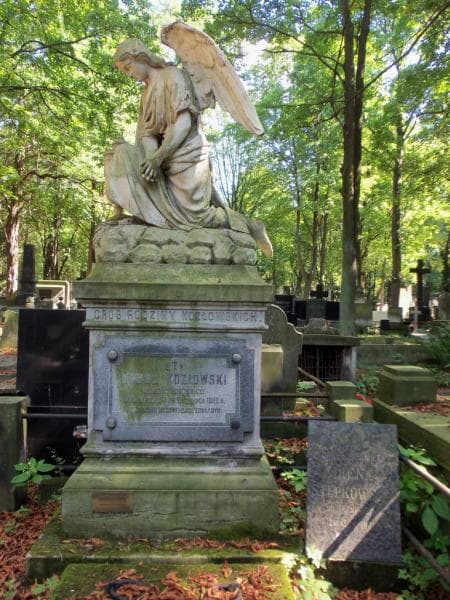 Zdjęcie grobu Aleksander Czajkowski (2)