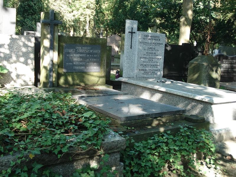 Zdjęcie grobu Włodzimierz Lubicz-Strzeszewski (1)