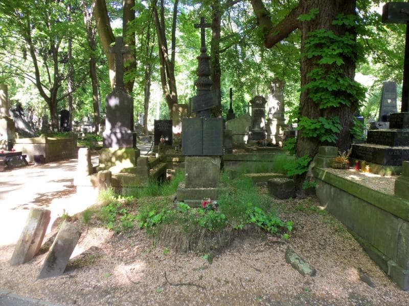 Zdjęcie grobu: Maria Waligórska