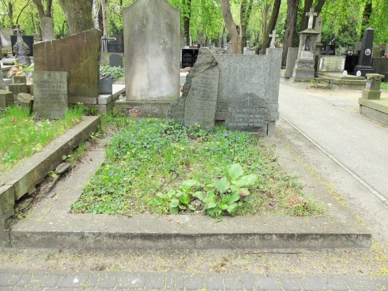 Zdjęcie grobu: Antonina Drygalska