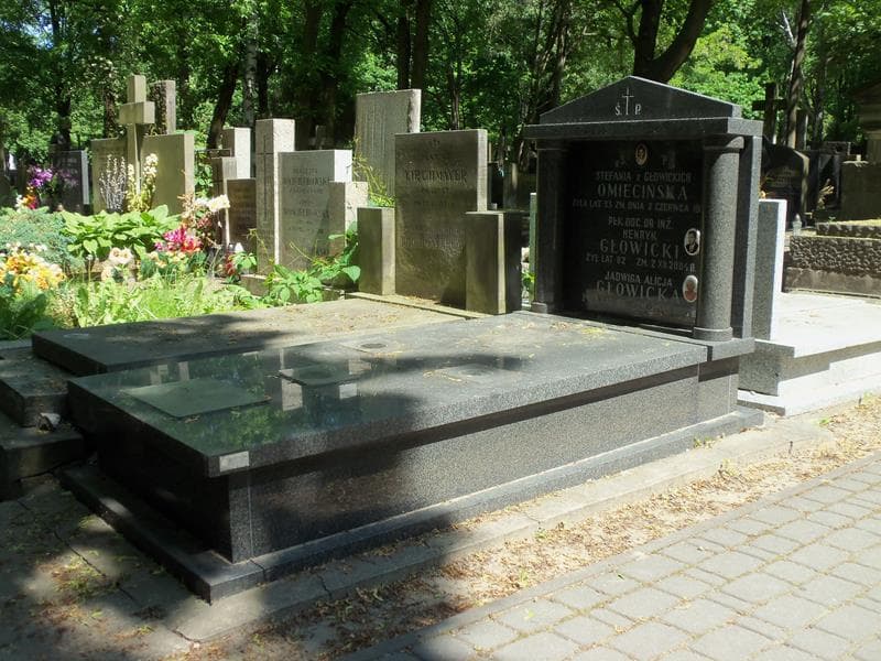 Zdjęcie grobu Henryk Głowicki (1)