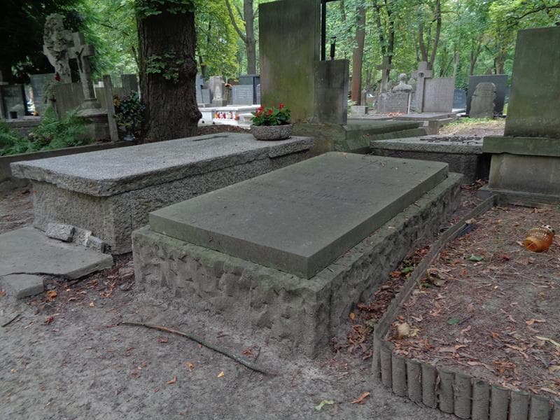 Zdjęcie grobu: Wanda Krychowska