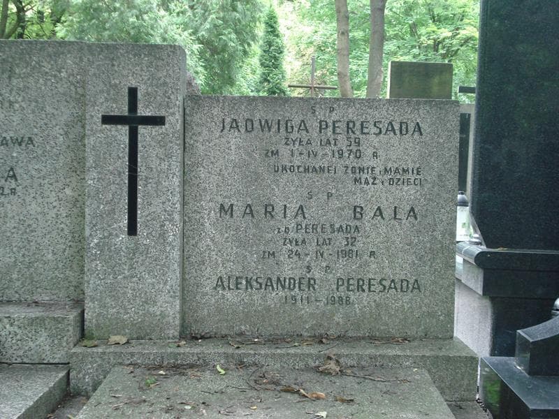 Zdjęcie grobu Aleksander Peresada (2)