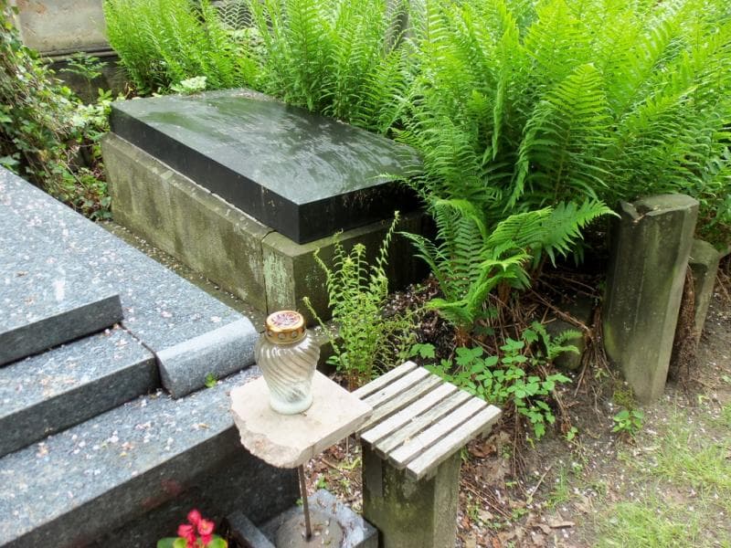 Zdjęcie grobu Eugenia Thelie (1)