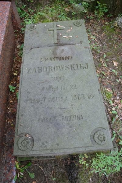 Zdjęcie grobu Antonina Zaborowska (2)