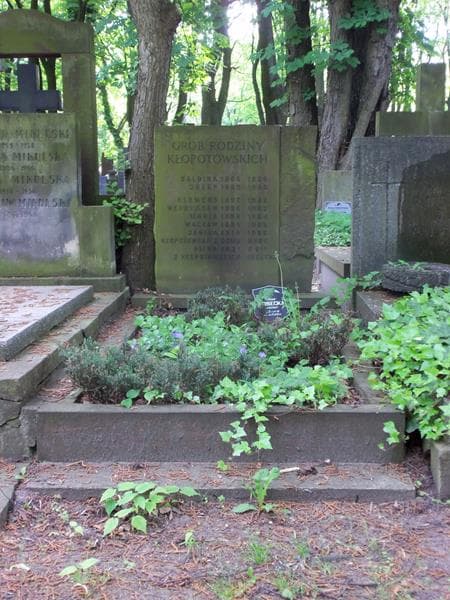 Zdjęcie grobu: Klemens Kłopotowski