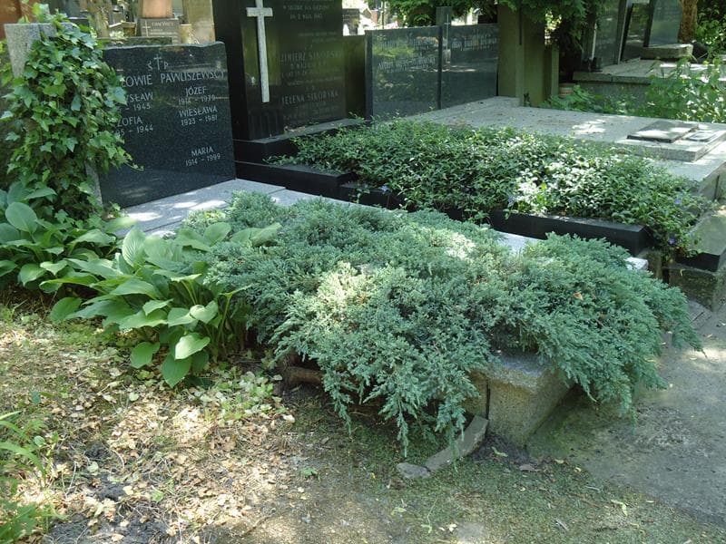 Zdjęcie grobu Józef Pawliszewski (1)