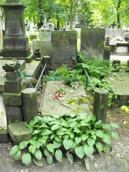 Zdjęcie grobu: Józef Lubkiewicz