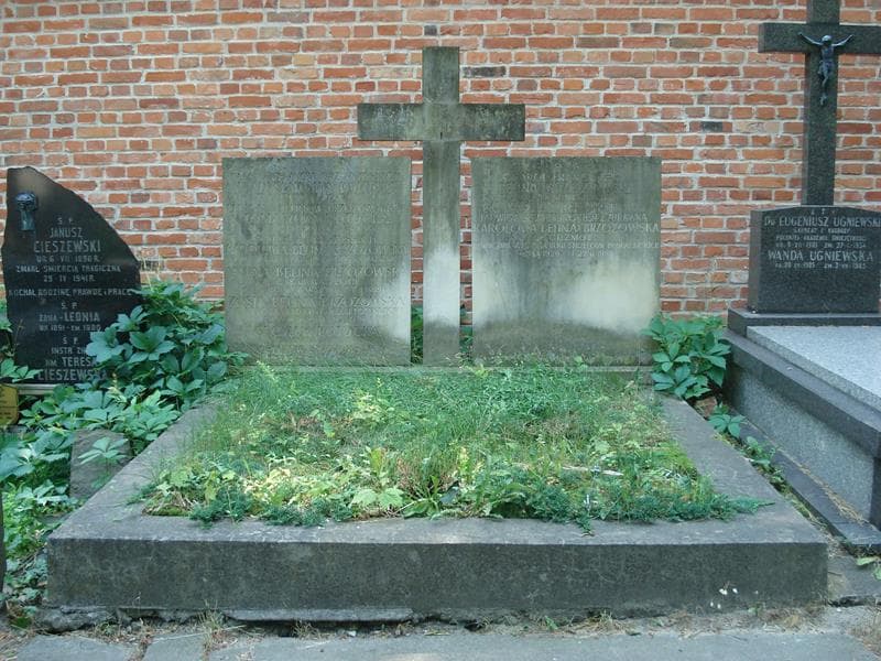 Zdjęcie grobu: Jadwiga Belina Brzozowska