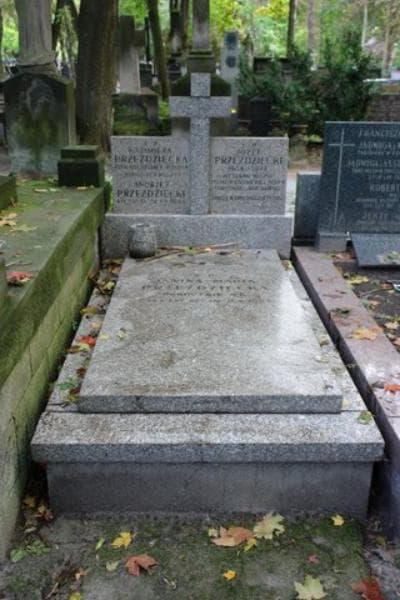 Zdjęcie grobu: Henryk Omeliński