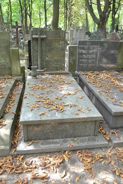 Zdjęcie grobu Janusz Hołuj (1)