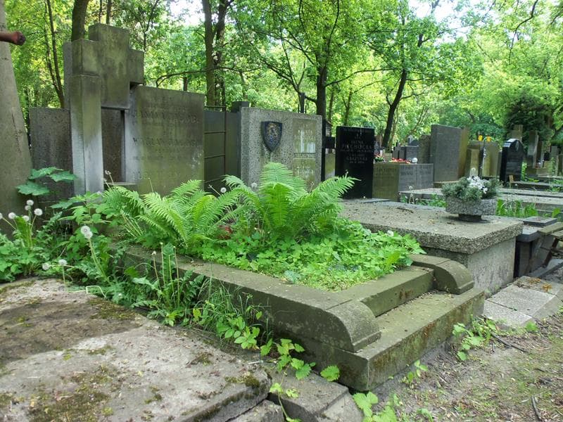 Zdjęcie grobu Ludwik Jacobi (1)