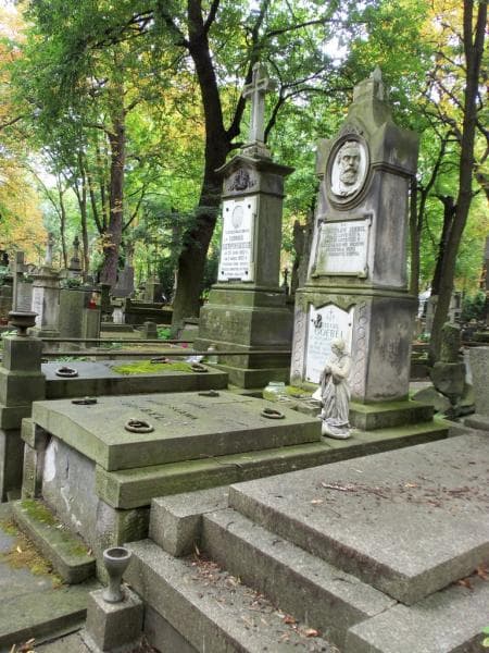 Zdjęcie grobu Henryk Woynicki (1)
