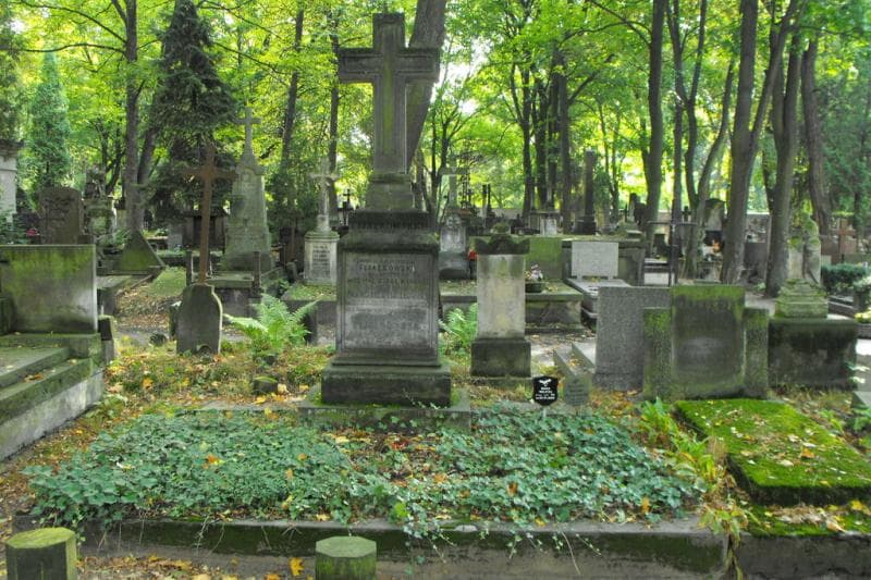 Zdjęcie grobu: Maria Joanna Walicka-Wojczakowska