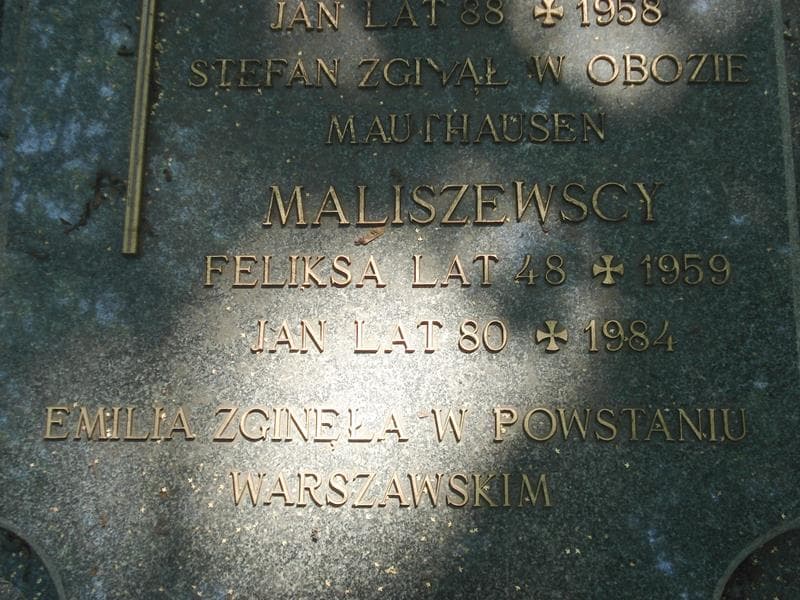 Zdjęcie grobu Jan Maliszewski (2)