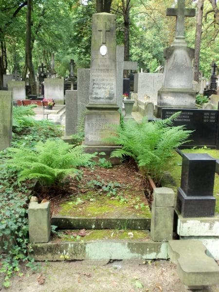 Zdjęcie grobu: Tadeusz Krysiński