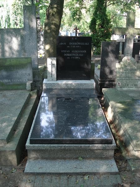 Zdjęcie grobu: Janina Dobrowolska