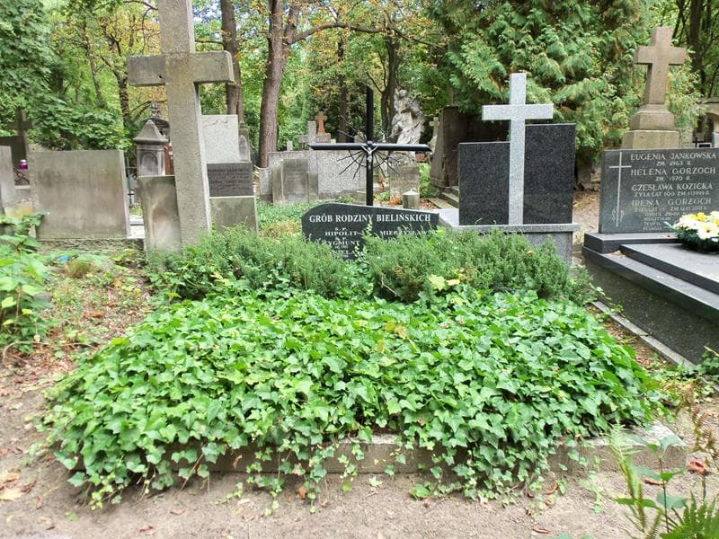 Zdjęcie grobu: Stanisław Bieliński