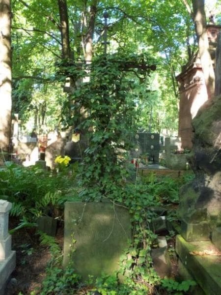 Zdjęcie grobu Ksawery Ossowski (2)