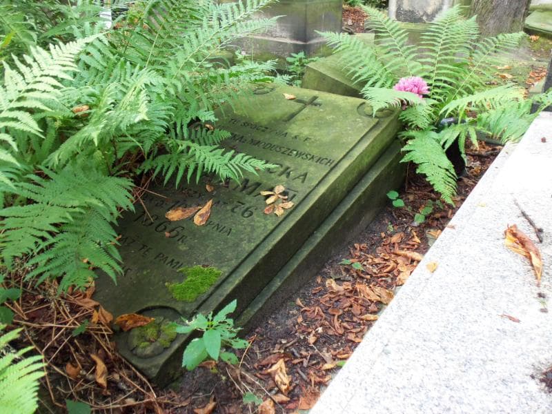 Zdjęcie grobu Franciszka Axman (2)