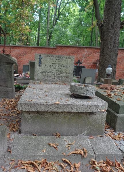 Zdjęcie grobu Stefan Janiszewski (1)