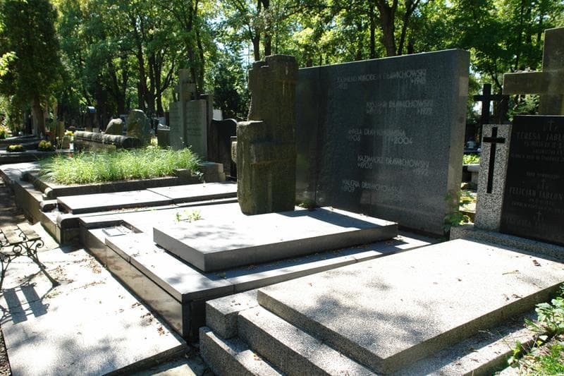 Zdjęcie grobu Kazimierz Dławichowski (1)