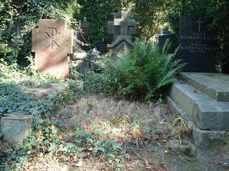Zdjęcie grobu: Stanisława Janicka