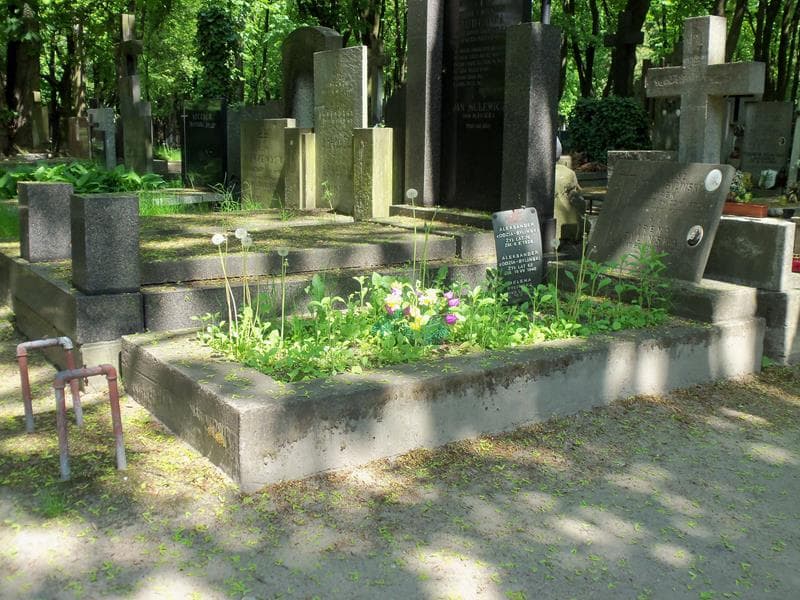 Zdjęcie grobu Irena Bylińska (1)