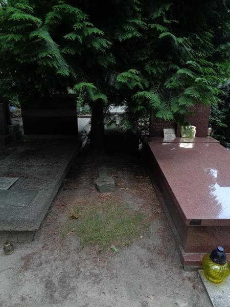Zdjęcie grobu Pole Grobowe (1)