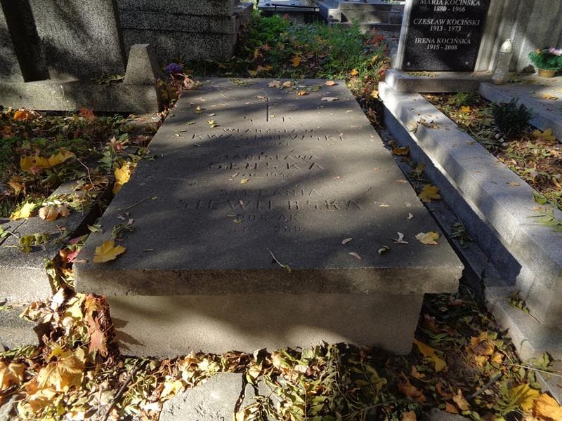 Zdjęcie grobu Władysław Kwaśniewski (1)