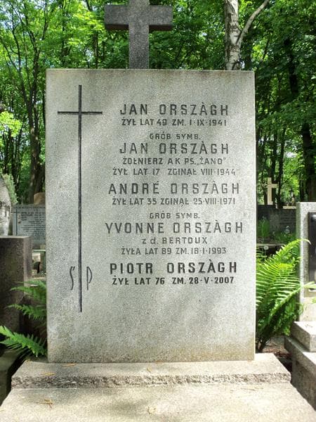 Zdjęcie grobu Jan Orszagh (2)