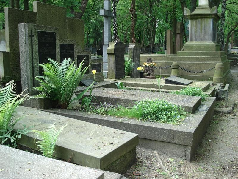 Zdjęcie grobu Kazimierz Antosiewicz (1)