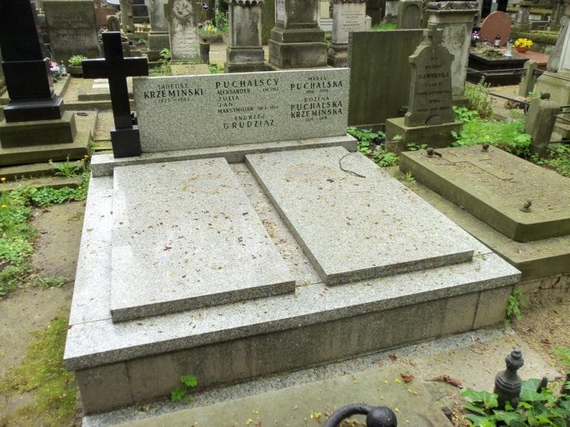Zdjęcie grobu Tadeusz Krzemiński (1)
