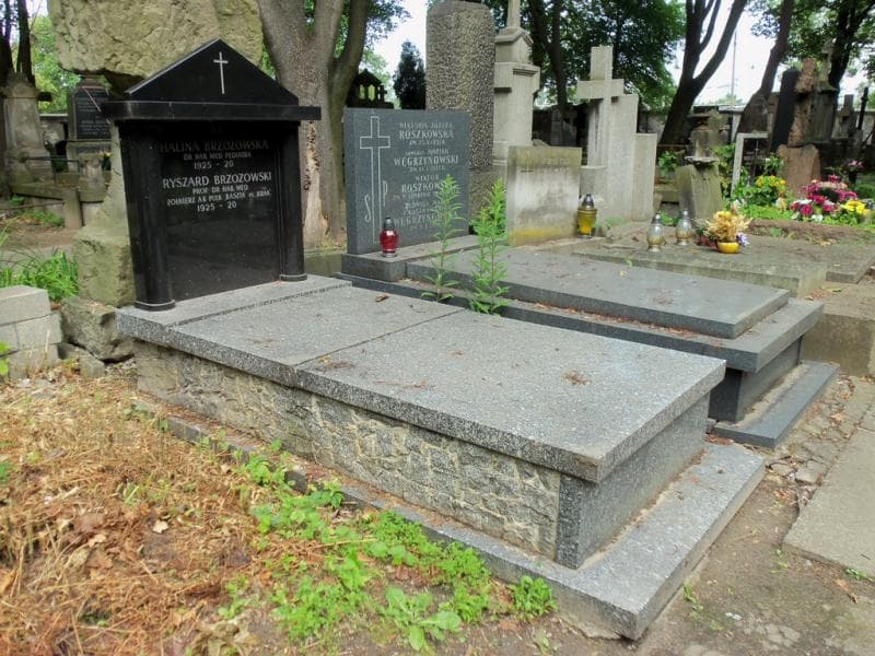 Zdjęcie grobu Brzozowscy (1)