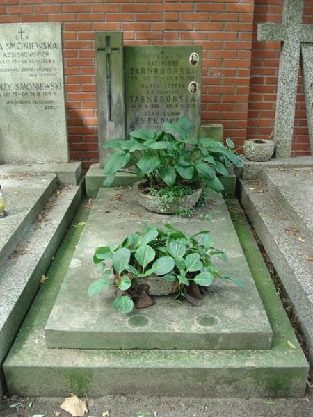 Zdjęcie grobu: Maria Józefa Tarnogórska