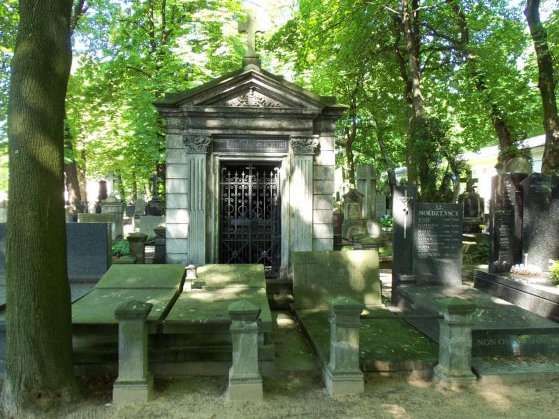 Zdjęcie grobu: Ludwik Odrowąż Mieszkowski