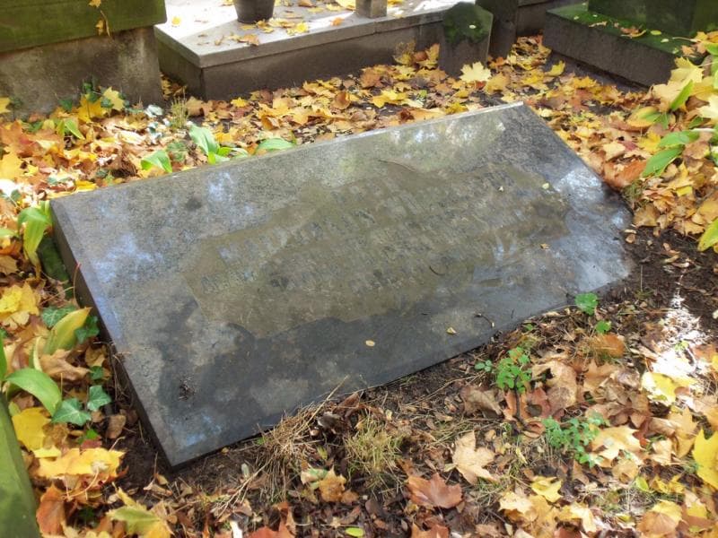Zdjęcie grobu Balbina Wójcicka (2)