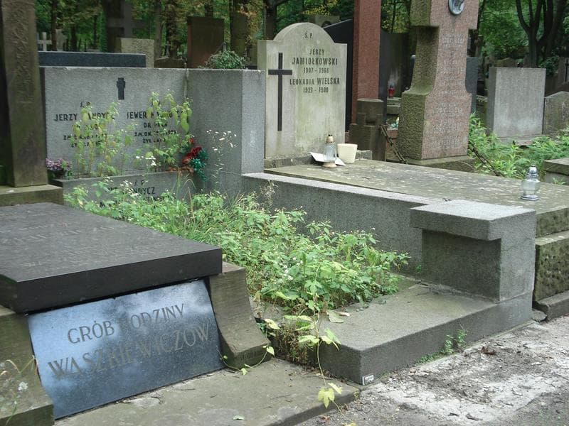 Zdjęcie grobu Seweryn Wandycz (1)
