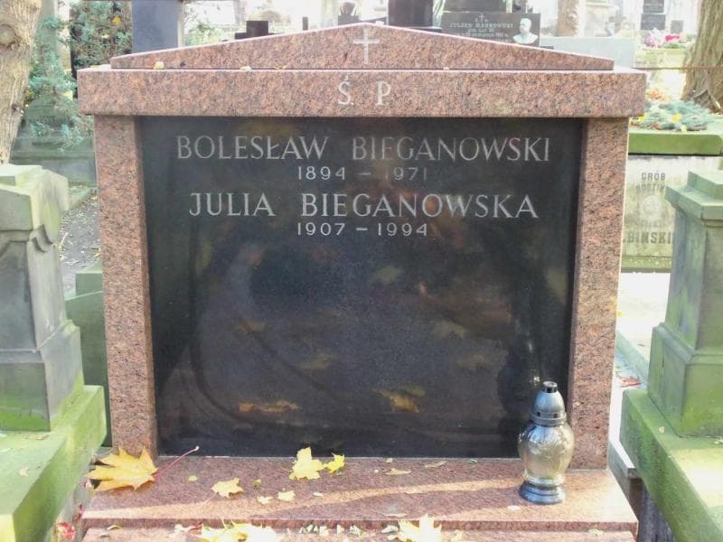 Zdjęcie grobu Julia Bieganowska (1)