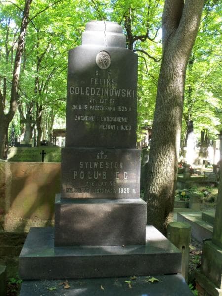Zdjęcie grobu Feliks Golędzinowski (1)