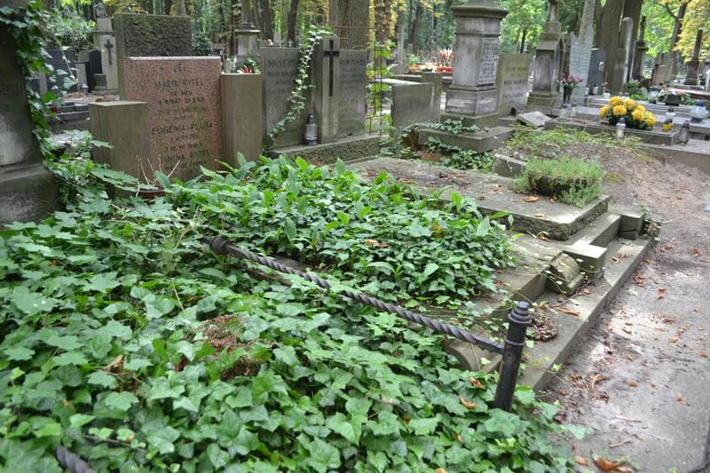 Zdjęcie grobu: Eugenia Pluta