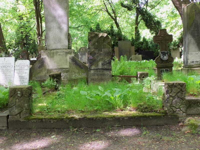 Zdjęcie grobu: Rostkowscy
