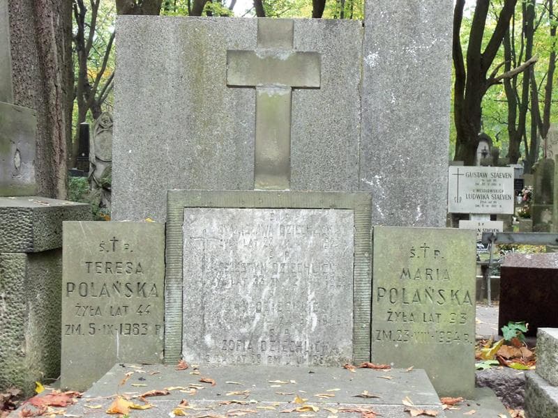 Zdjęcie grobu Maria Polańska (2)