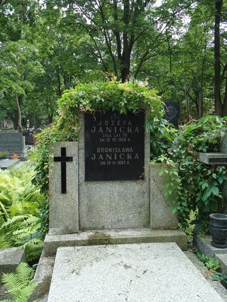Zdjęcie grobu Józefa Janicka (2)