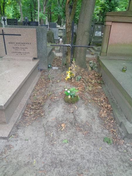 Zdjęcie grobu Anonim (1)