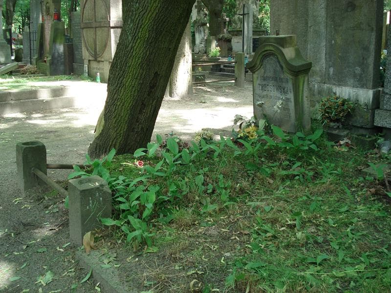 Zdjęcie grobu Emilja Trzosowska (1)
