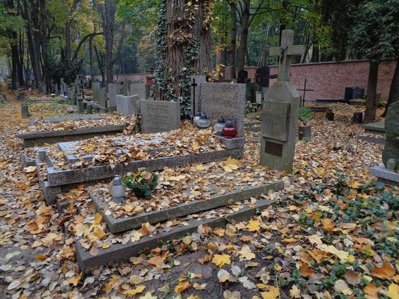 Zdjęcie grobu: Józef Wójcik
