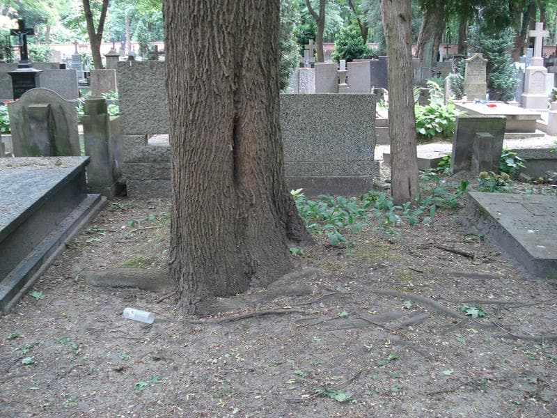 Zdjęcie grobu: Pole Grobowe