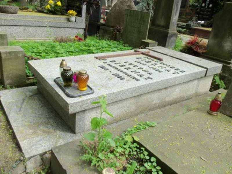Zdjęcie grobu Franciszek Biernat (2)
