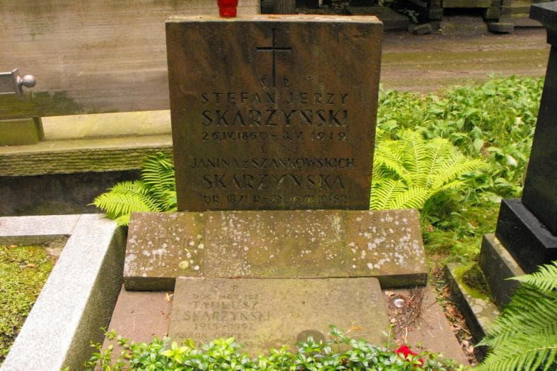 Zdjęcie grobu Maria Wasiewicz (2)